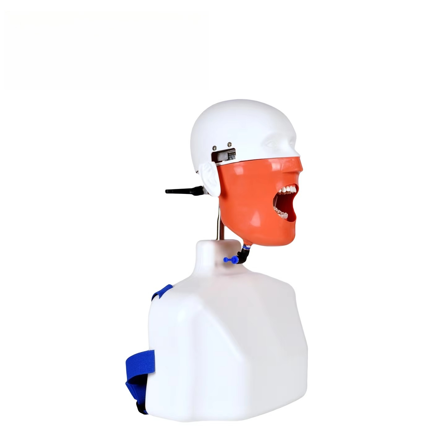 의료 과학 교육용으로 사용되는, 실험실용 의자에 설치하 - Medical Laboratory Science 리뷰 및 가격
